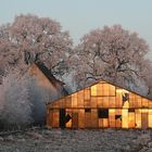 Gewächshaus bei Sonnenuntergang