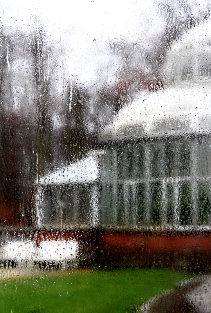 gewächshaus botanischer garten berlin im regen