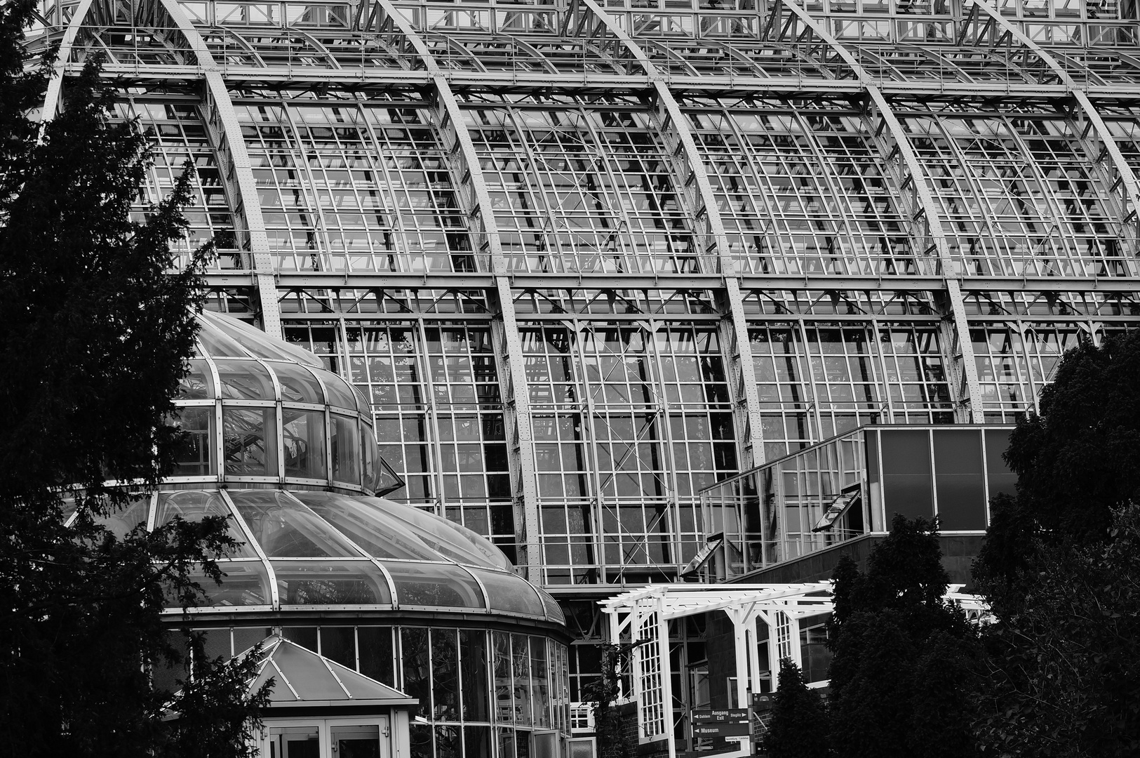 Gewächshaus im Botanischen Garten