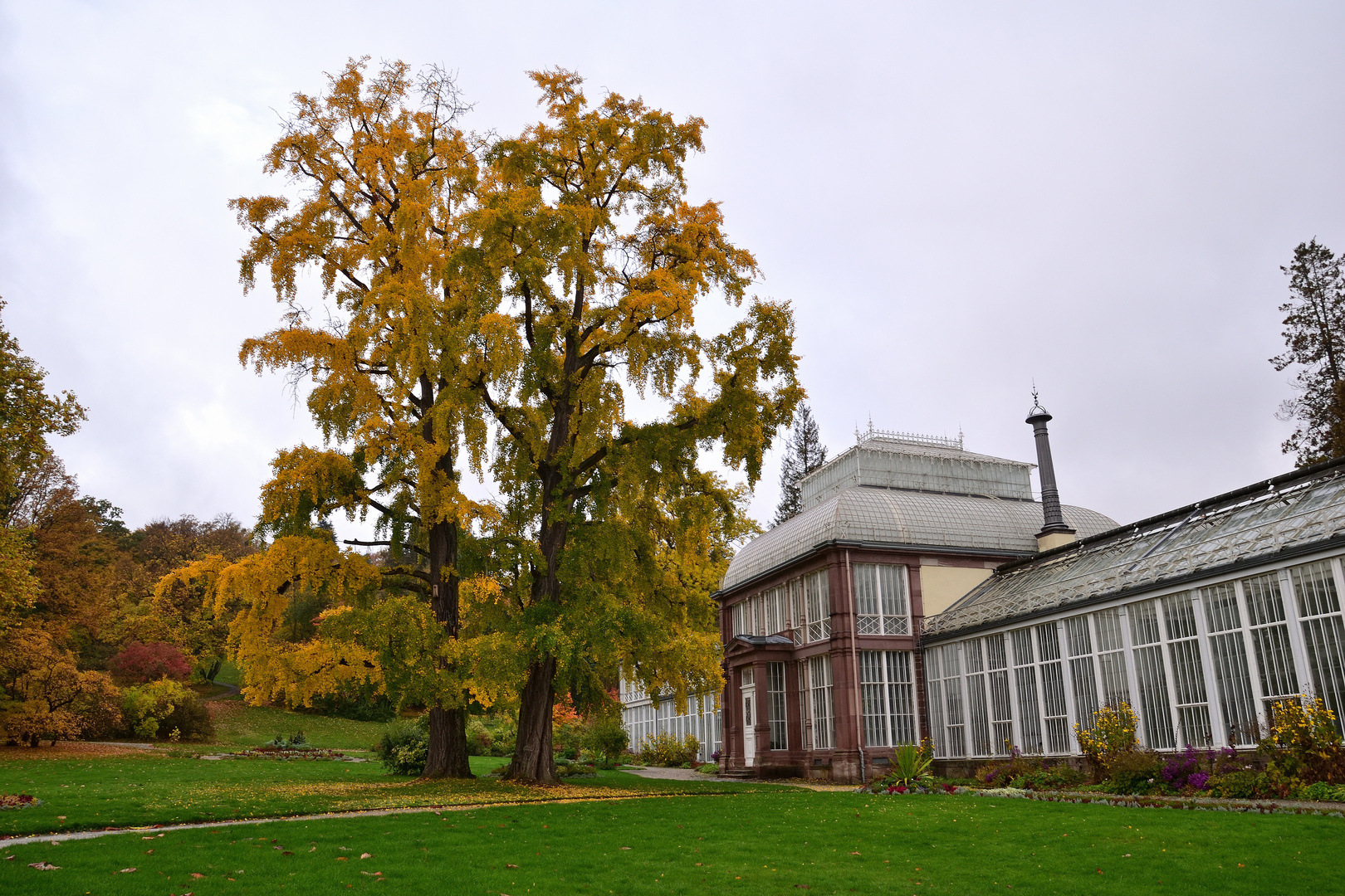 Gewächshaus im Herbst