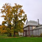 Gewächshaus im Herbst