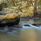 Gewässer im Waldnaabtal