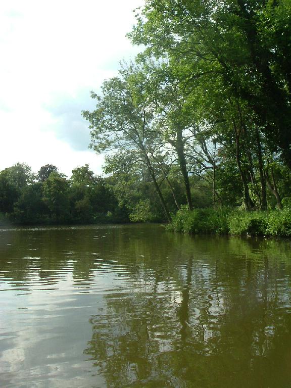 Gewässer rund um Laxenburg