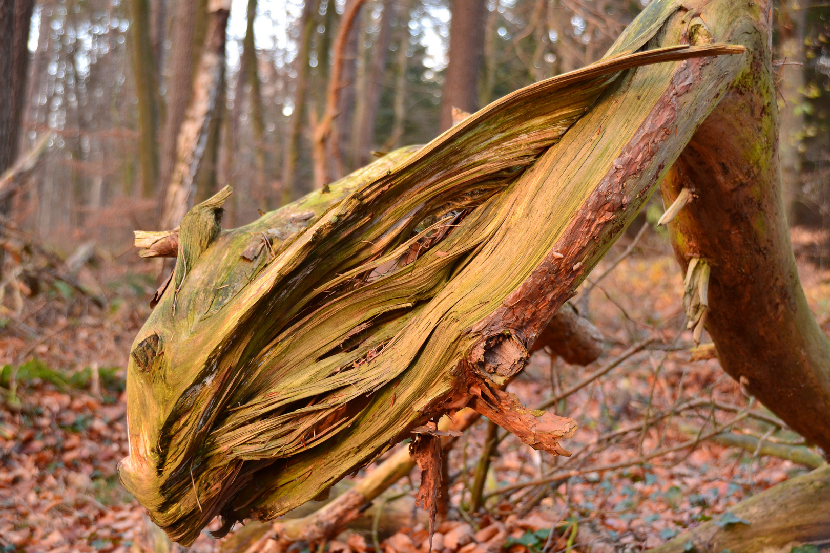 Gewaltige Natur