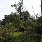 Gewaltvolle Rückkehr der Natur... <<< Tornadoschäden in Duisburg - Rheinhausen...