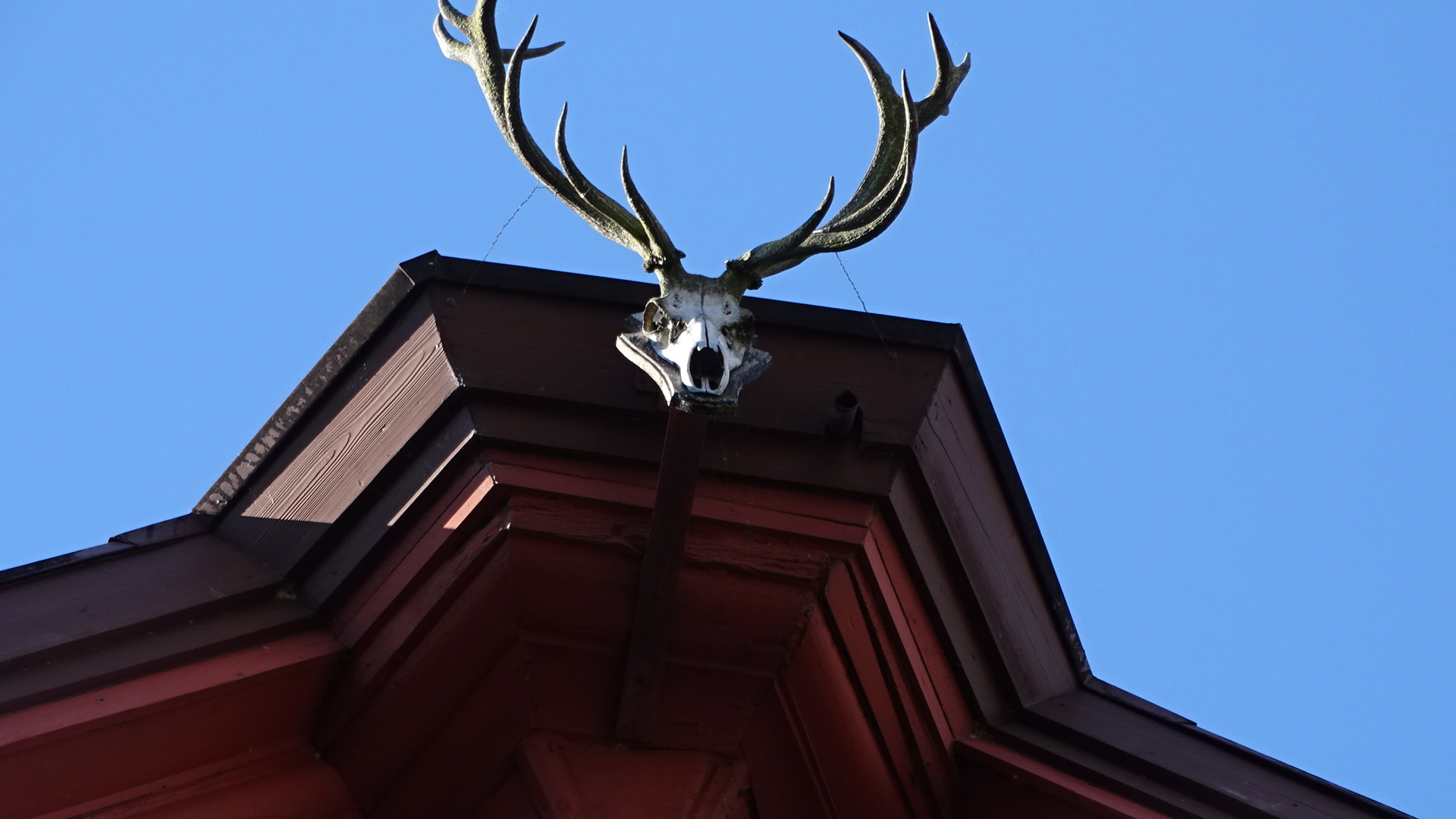 Geweih Schmuck am alten Haus in Kirchheim /Teck