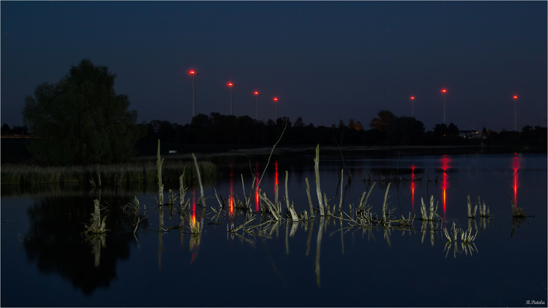 Gewildert an der Kamplake