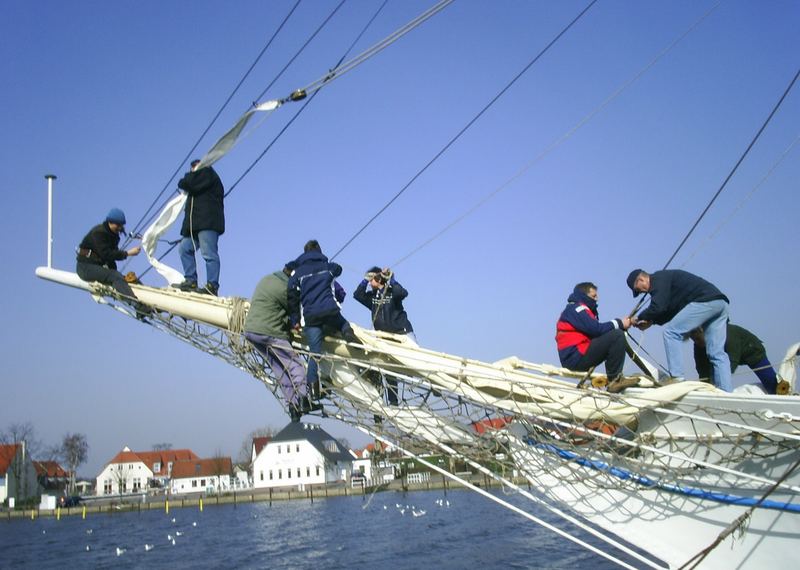 Gewimmel in der Frühe