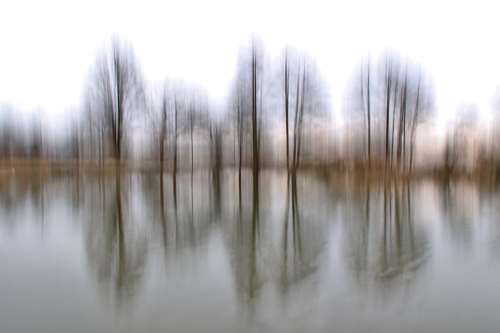 gewischt am Weiher