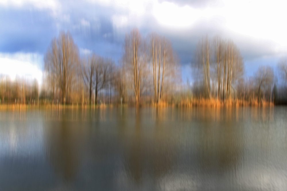 gewischt am Weiher