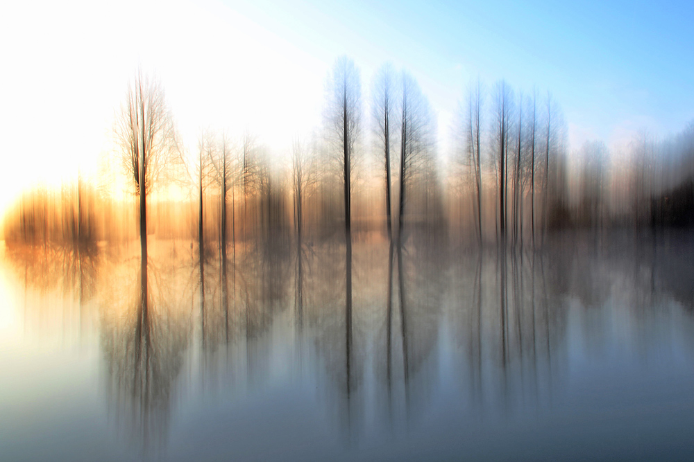 gewischter Morgen am Weiher