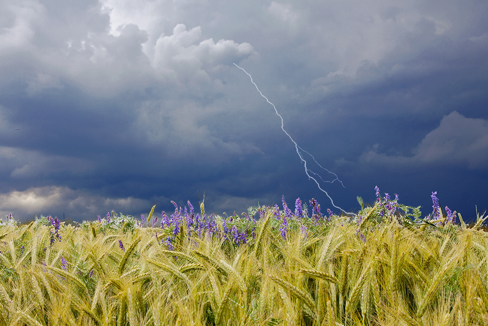 Gewitter  ...