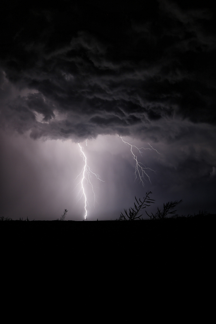 Gewitter 2014-1