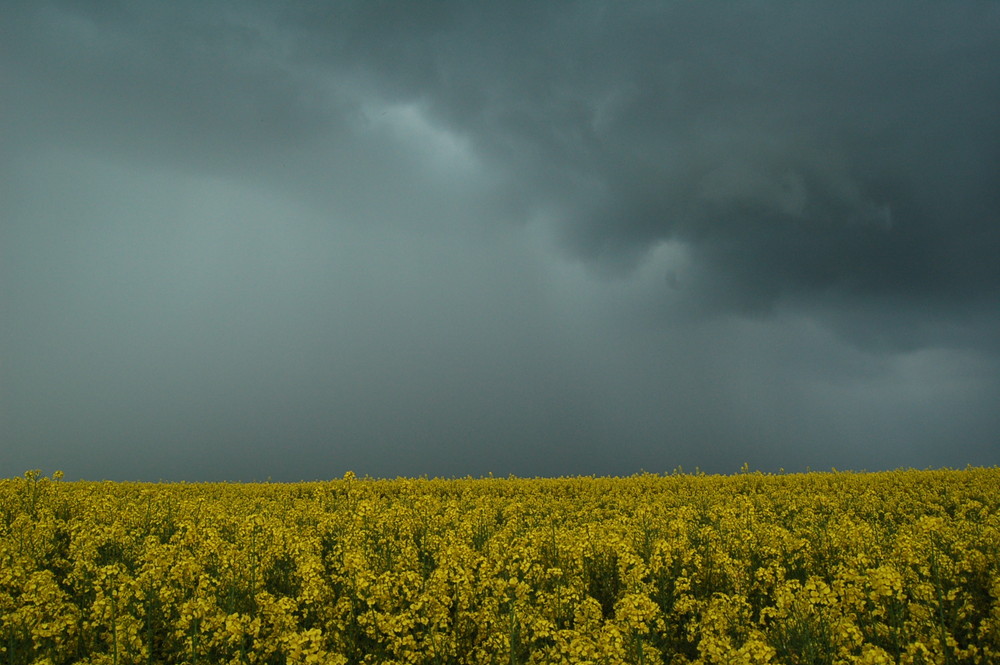 Gewitter