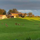 Gewitter - Abendstimmung bei Antdorf