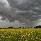 Gewitter am Sonntag