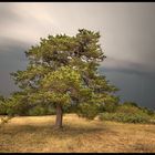 " Gewitter auf dem Staffelberg "