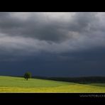 Gewitter Bilder Zeit