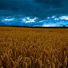 Gewitter-Feld