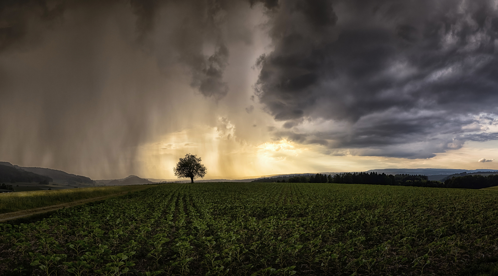 Gewitter Flaachtal