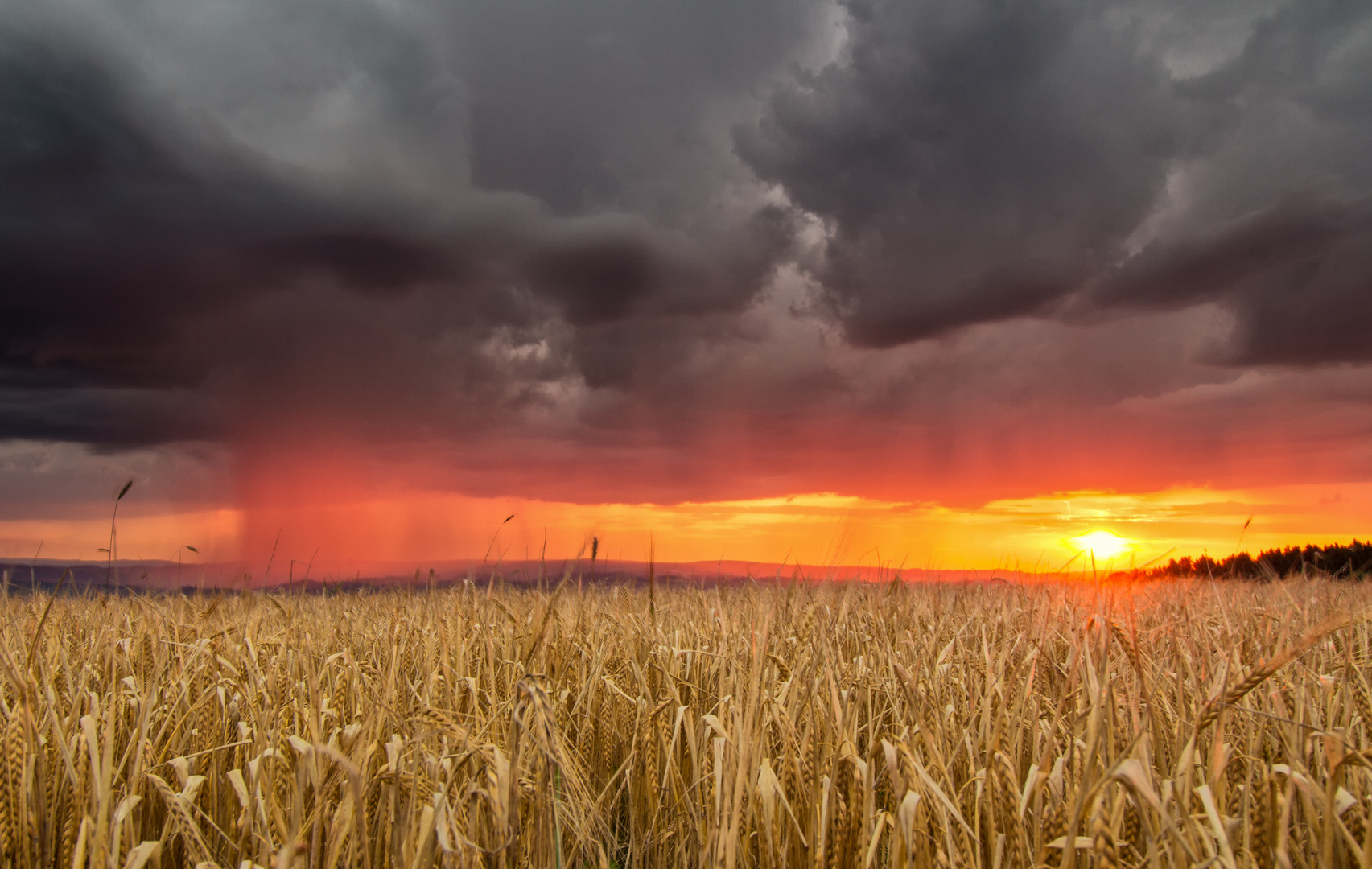 Gewitter im Abendlicht.