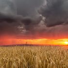 Gewitter im Abendlicht.