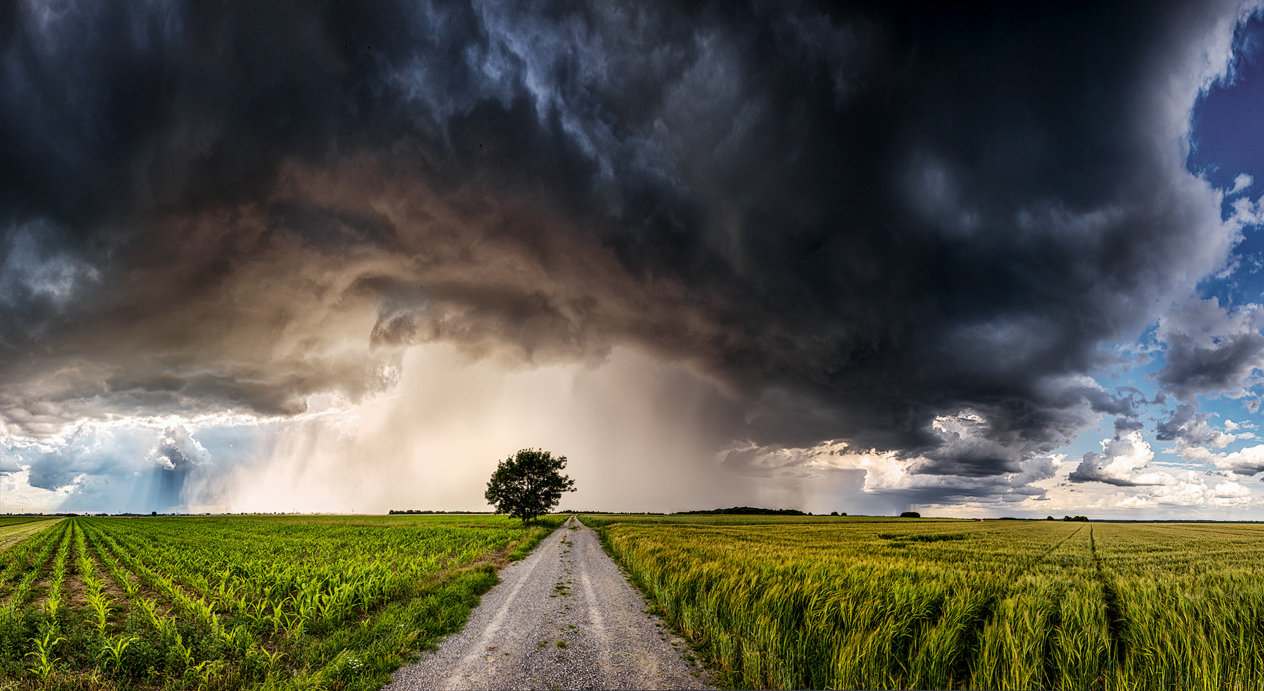 gewitter im abendlicht