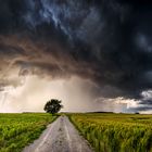 gewitter im abendlicht