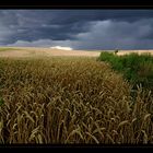 Gewitter im Anmarsch 1