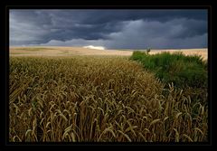 Gewitter im Anmarsch 1