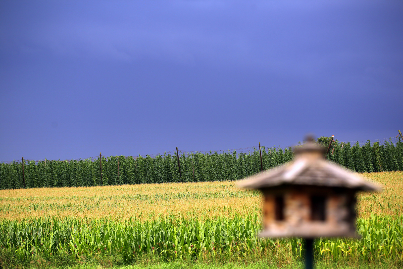 Gewitter im Anmarsch