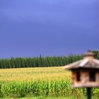 Gewitter im Anmarsch