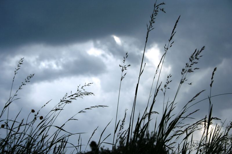 Gewitter im Anmarsch