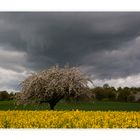 Gewitter im Anmarsch