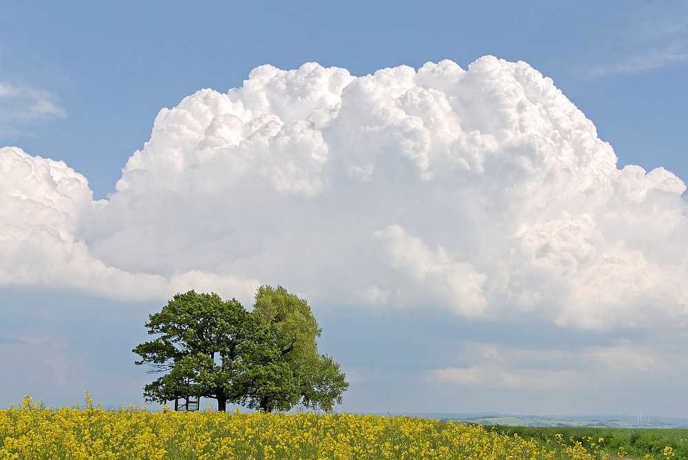 Gewitter im Anmarsch