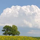 Gewitter im Anmarsch