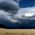 Gewitter im Anmarsch ?