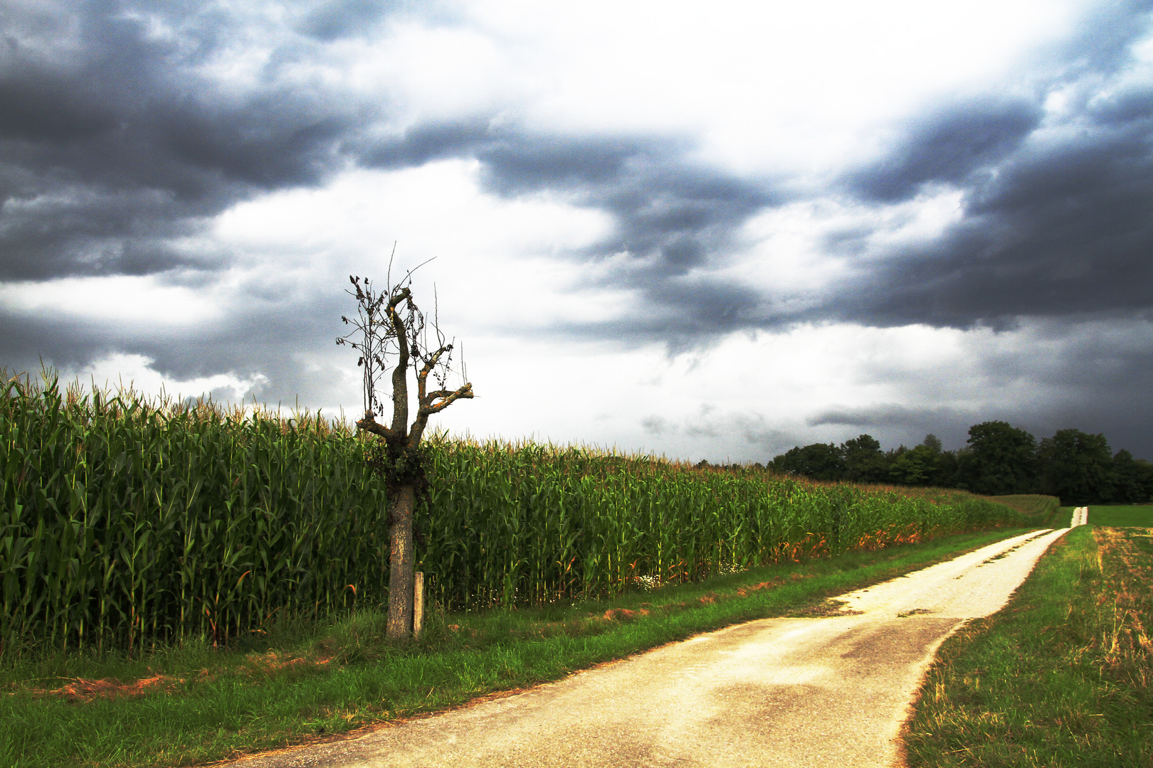 Gewitter im Anmarsch