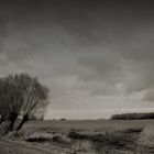 Gewitter im Moor