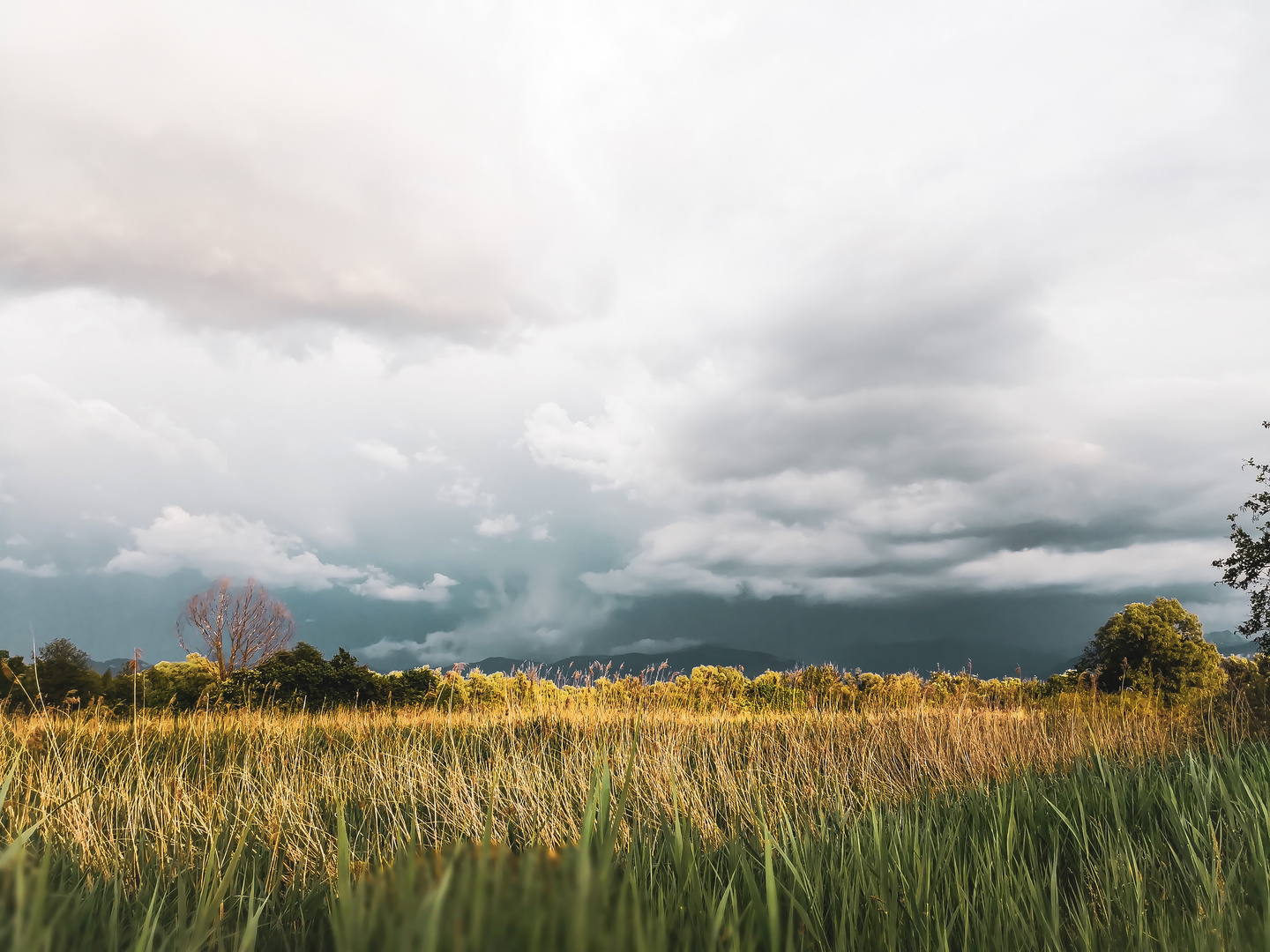 Gewitter im Nacken... 