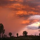 Gewitter im Outback