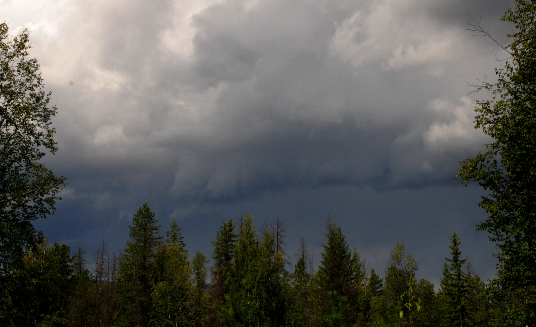 Gewitter im Wells Gray Provincial Parc