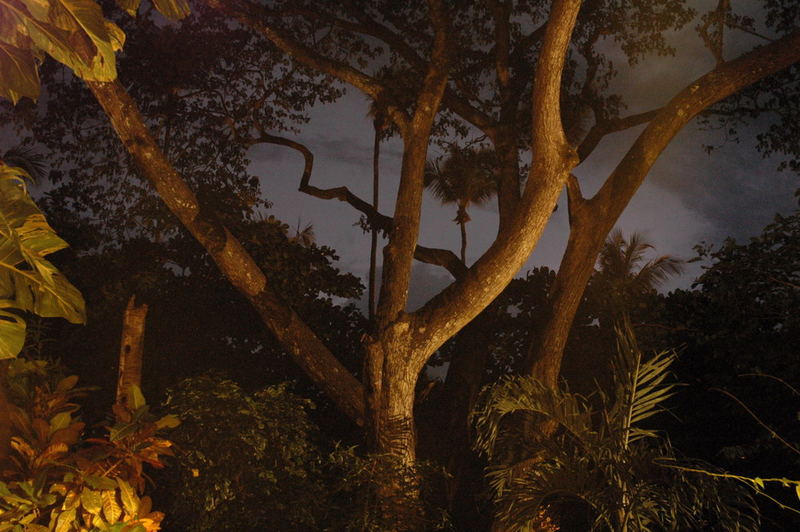 Gewitter in Costa Rica bei Nacht