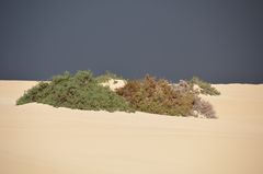 Gewitter in den Dünen