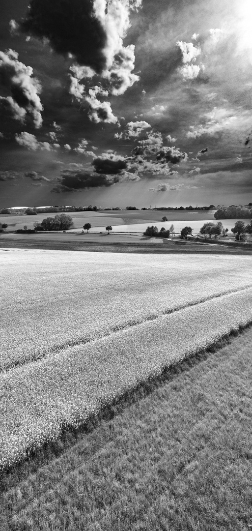 Gewitter in der Pampa