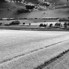 Gewitter in der Pampa