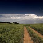 Gewitter in Ostsachsen