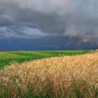 Gewitter kommt 