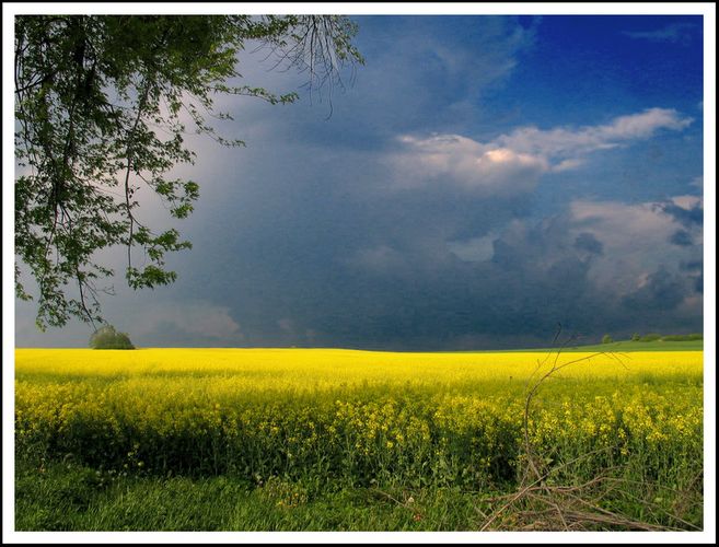 Gewitter kommt ! !