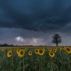 Gewitter mit vielen Sonnen